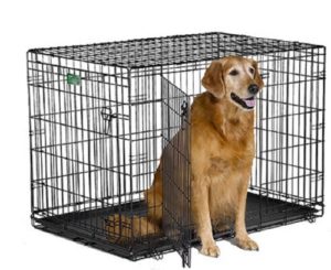 Best Dog Crate for Great Danes