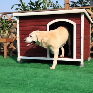 Best Dog House For Labrador Retriever