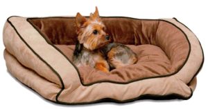 best bed for Shetland Sheepdog