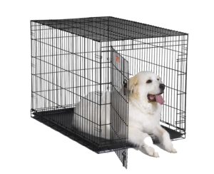 Best Dog Crate for Great Danes