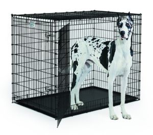 Best Dog Crate For Great Dane