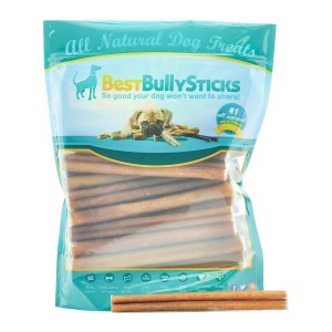 HEALTHY TREATS FOR BIG DOGS