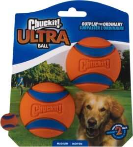 best interactive dog toy for labrador retrievers