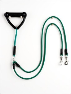 different types of dog leashes