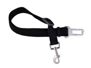 different types of dog leashes