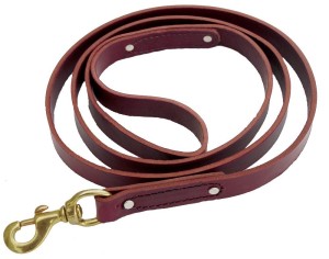 different types of dog leashes