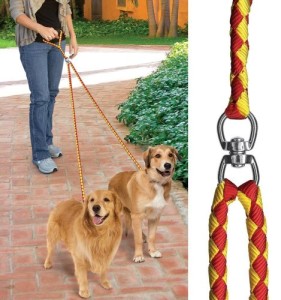 best dog leash for pulling
