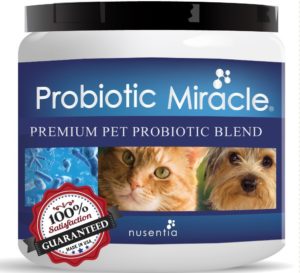 Probiotics For Dogs