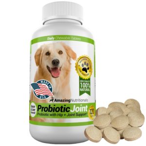 Probiotics For Dogs