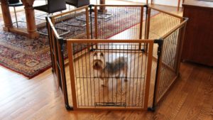 Wooden Playpen For Dogs