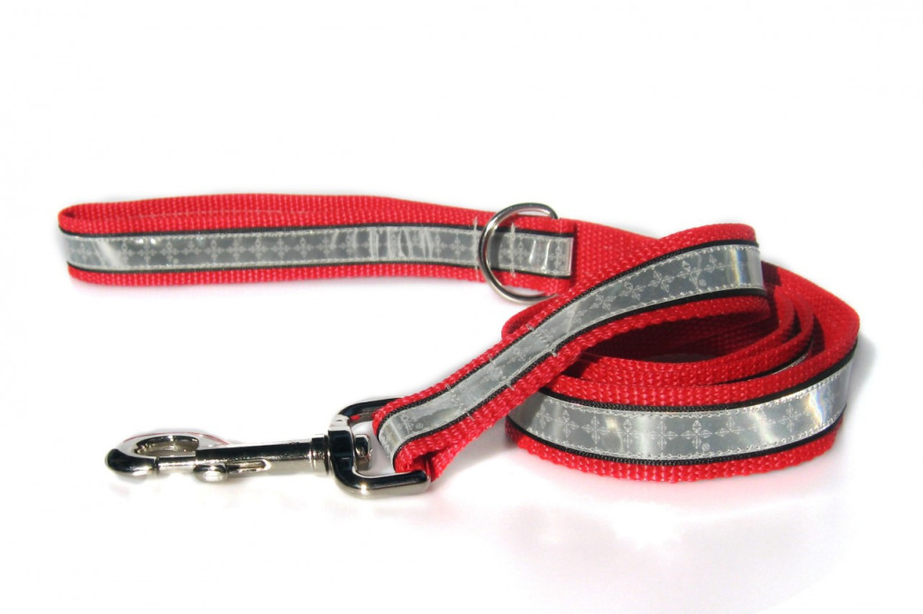 Dog Leash Guide: Learn About the Different Types of Leashes and Which ...