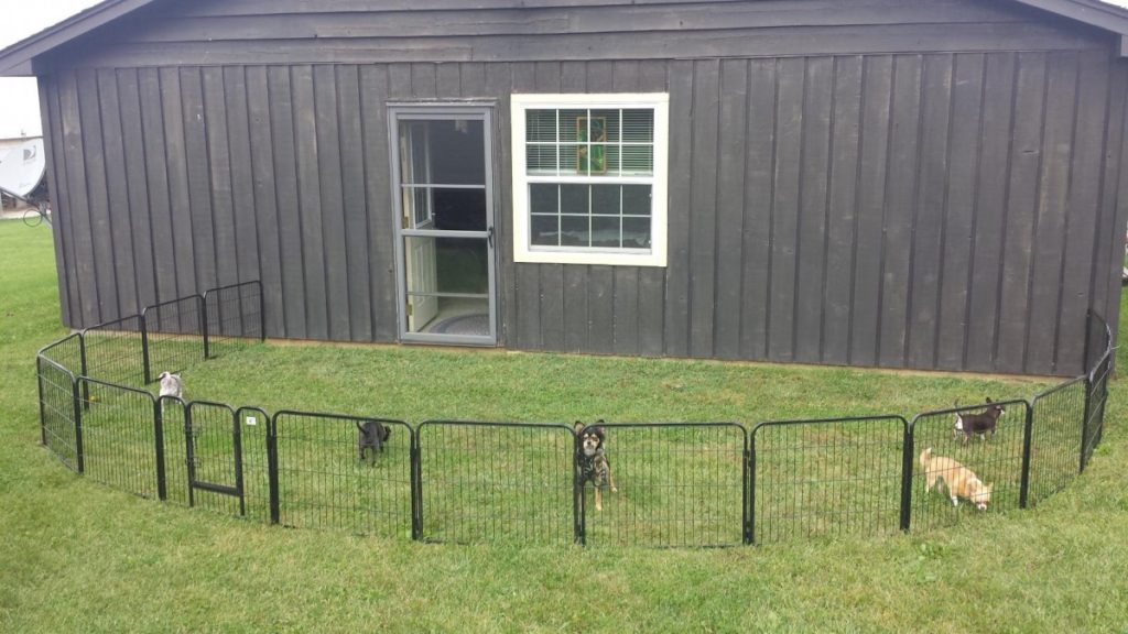 Outdoor Playpen For Dogs