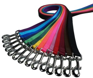 different types of dog leashes