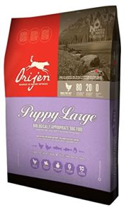 Orijen Puppy Food For Large Breeds