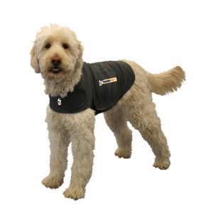 thundershirt for dogs