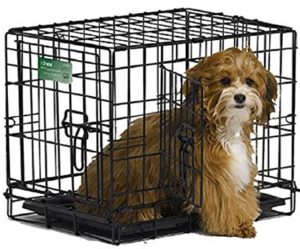 Best Dog crate for small dogs or chihuahua
