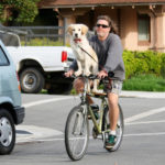 Walky Dog Plus Bike Leash