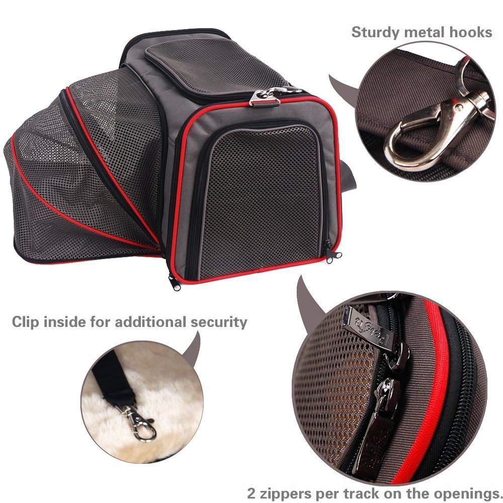 Airline Approved Dog Carrier Dog N Treats