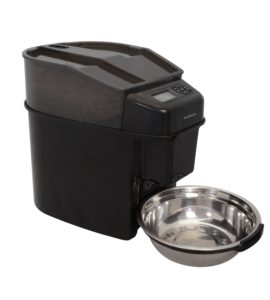  Best Dog Bowl For Chihuahua, Slow Dog Feeder For Chihuahua