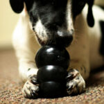 Interactive Dog Toys for Aggressive Chewers: Fun and Safe Toys for Your Power Chewer
