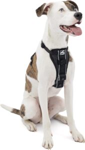 Kurgo Tru-Fit Smart Dog Harness