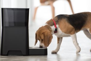 Petnet SmartFeeder