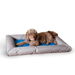 Cool Dog Beds For Large Dogs