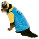 Halloween Costume For Large Dogs