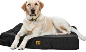 Non Chewable Dog Bed