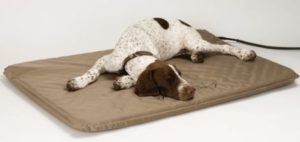 Heated Dog Bed For Large Dogs