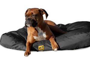 Chew Resistant Dog Bed
