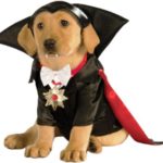 Halloween Costumes For Small Dogs