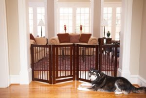 Indoor Dog Gates : Folding Dog Gates