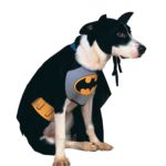 Halloween Costumes For Large Dogs