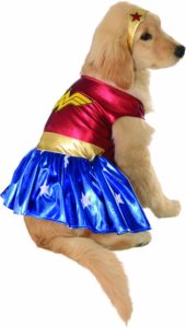 Halloween Costumes For Small Dogs