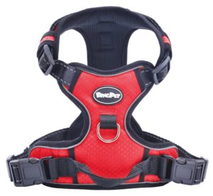 Harness For Border Collie