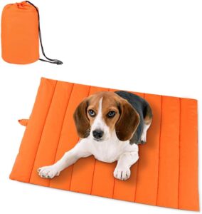 outdoor dog mat that is portable