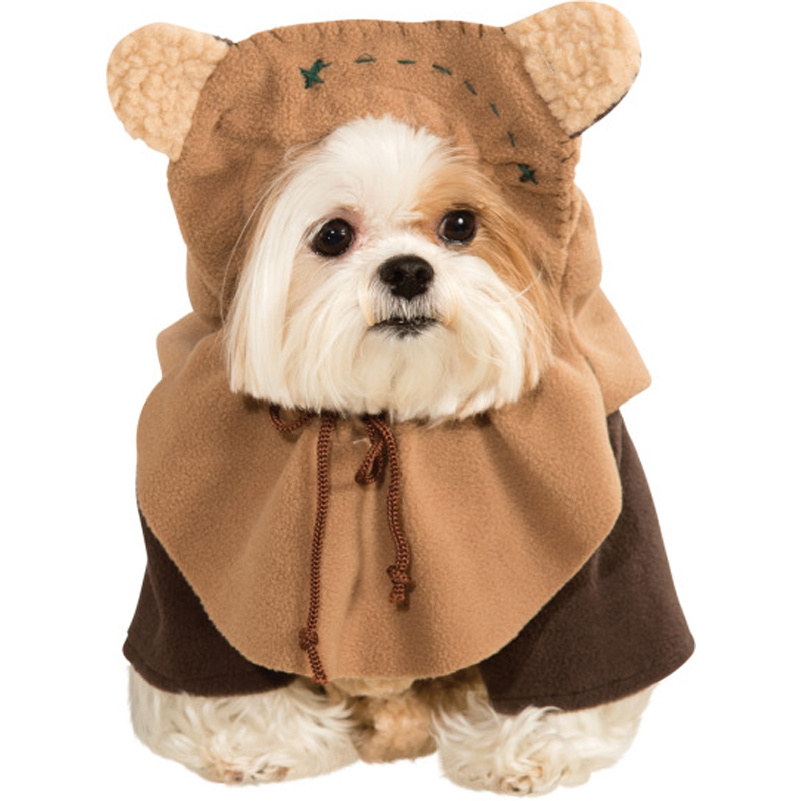 halloween-costumes-for-dogs-dog-n-treats