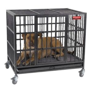 Heavy Duty Dog Crates For Pitbulls