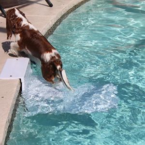 Pool Ramps For Large Dogs