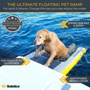 Top Dog Ramps for Pontoon Boat