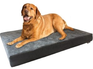 Indestructible Dog Bed For Crate