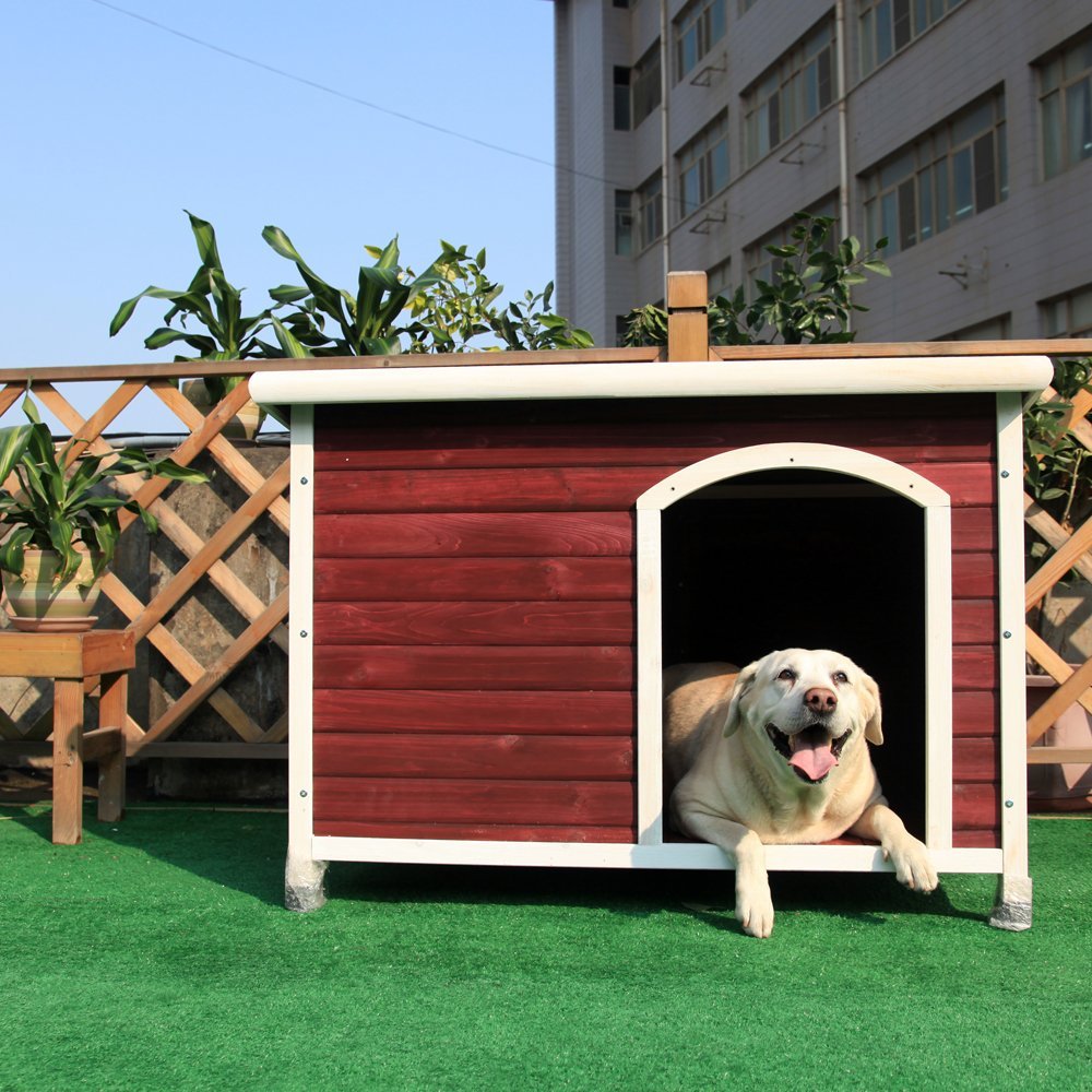 New dog house. Вольер для собаки лабрадор. Собака с конурой. Собачья будка. Домик для собаки на улице.