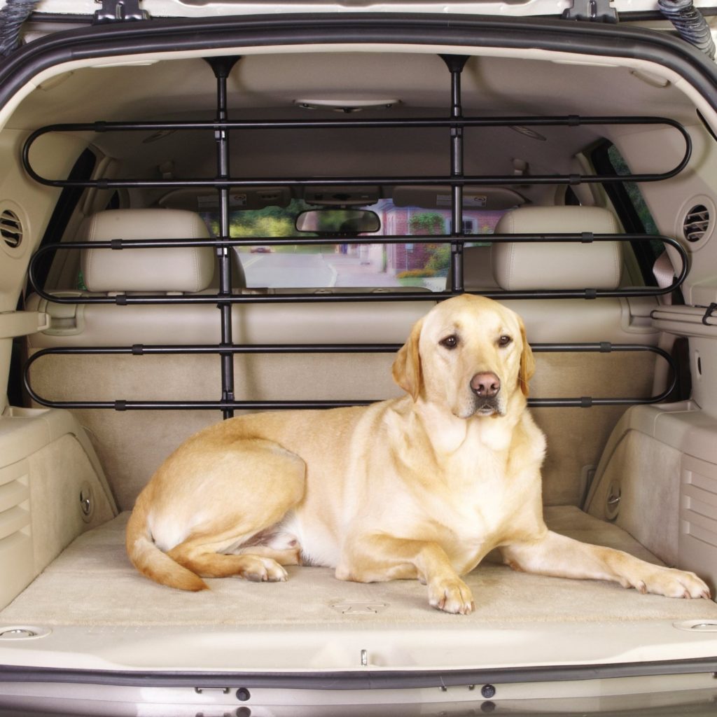 Best Car Pet Barrier For Various Cars Dog N Treats