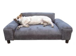Best Sofa For Dogs