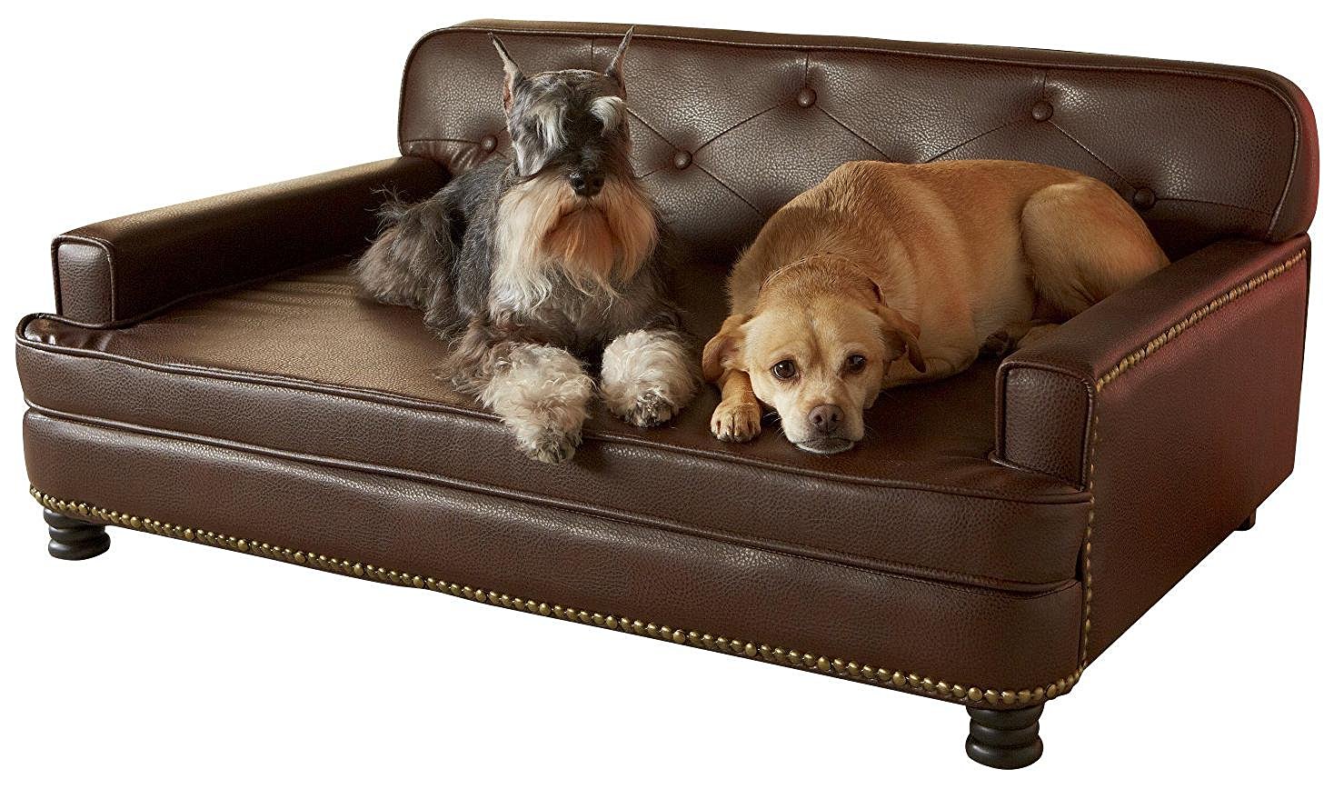 Best Sofa For Dogs Dog N Treats