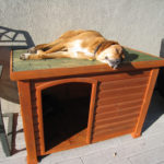 Cheap Dog Houses For Large Dogs