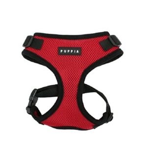 Best Harness For Pugs