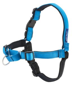 Best Harness For Pugs