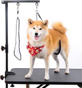 lightweight portable grooming table for dogs